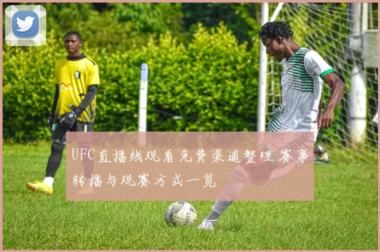 UFC直播线观看免费渠道整理 赛事转播与观赛方式一览